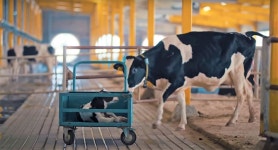 “韓기업, 첨단 농업-게임 등 카타르와 IT 협력 강화해야”