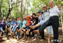 “암도 치유했어요”…전국에 몰아친 맨발걷기 열풍[양종구의 100세 시대 건강법]