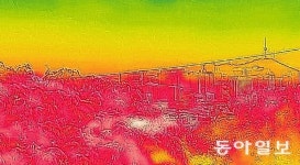 온열질환 사망 주말에만 11명… 작년 전체 9명 넘어서
