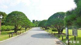 청량한 물빛과 톡 쏘는 물맛… 왕과 대통령도 흠뻑 취한 힐링 명소[수토기행]