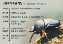 ‘멸종’ 50년만에… 소똥구리 돌아왔다