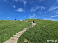 한탄강과 임진강이 만나는 주상절리 협곡… 고구려 역사 탐방과 가을꽃 나들이[전승훈의 기자의 아트로드]