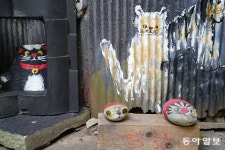 버려진 골목길을 관광지로 만든 복돌고양이[전승훈의 아트로드]