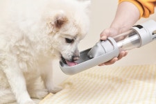 펫투데이 “반려동물 보호자 가려운 곳 긁어주는 아이디어 상품 선보일 것”