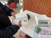 [르포]“허브 얼고, 가축 병 걸릴라…온풍기 총동원” 화훼-축산농가도 한파 비상