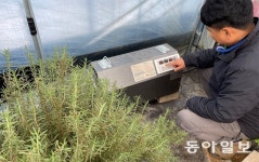 “허브 언다, 온풍기 총동원”… 화훼-축산농가, 한파-폭설과 사투