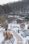 “당신과 겨울 정원에 가고 싶어요. 우리, 수원에서 만날까요.” [김선미의 시크릿가든]