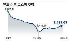 파랗게 질린 동학개미, 美로 ‘주식 이민’