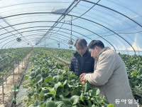 과일 할인판매 뒤엔… “매주 딸기 농장, 오렌지 찾아 미국까지”
