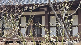 남도의 세월 품은 비밀의 정원, 길손을 반긴다 [김선미의 시크릿가든]