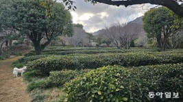 남도의 세월 품은 비밀의 정원, 길손을 반긴다 [김선미의 시크릿가든]