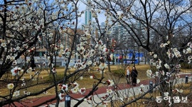 “봄바람 휘날리면… 인천-부천으로 오세요”