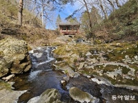 사람도 꽃처럼 돌아온다면야… [전승훈 기자의 아트로드]