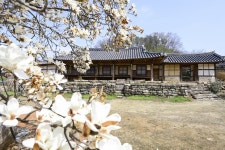 남원의 정원에서는 누군들 사랑하지 않으리요 [김선미의 시크릿가든]