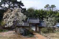 남원의 정원에서는 누군들 사랑하지 않으리요 [김선미의 시크릿가든]