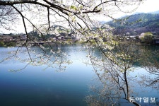 “이산~ 저산~ 꽃이 피니~” 대둔산 산골마을에 울려퍼지는 장단소리[전승훈의 아트로드]