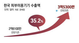 ‘홈 뷰티 기기’ 시장 폭발… 제약-IT업체도 뛰어들어