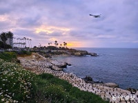 샌디에이고 드리밍[전승훈 기자의 아트로드]