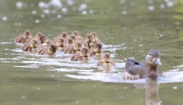 “엄마, 같이 가요”