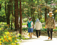 [강북구] 명상하고 맨발로 걷고… 북한산에서 쉼을 만나요