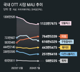 넷플-디플 ‘주춤’… 국내 OTT 스포츠 콘텐츠 앞세워 약진