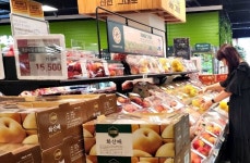 ‘金사과’ 영향일까… 올해 추석선물 ‘과일류’ 선호도 가장 높아