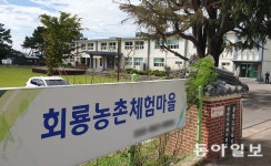 산이면 산, 바다면 바다… 발길 닿는 곳마다 힐링