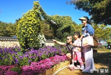 “여기 봐, 가을 향기 두른 코끼리야”