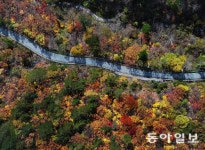단풍 물든 대관령, 첫눈 덮인 설악산