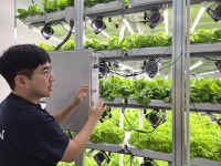 로웨인 “로봇 수직농장 경제성 입증한 첫 사례 만든다”