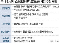 탄핵 정국속 ‘스웨덴 SMR-우크라 재건’ 해외건설 수주 먹구름