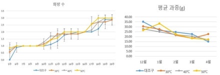 (주)가온에프앤에스 동부팜한농종합연구소점 | 한국온실작물연구소, 딸기 관부 가온에 따른 품질반응 연구 진행