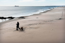 “걷기, 그게 운동이 되겠어?”라는 질문에 대한 ‘과학의 답변’