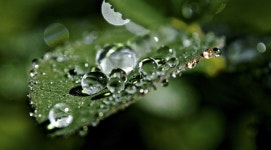 케이엠제약, GS칼텍스 바이오 소재 활용한 구강제품 개발에 나선다