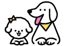 “댕댕이와 호캉스” “냥이 종합영양제”… 10조 펫시장 쟁탈전
