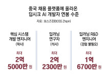 딥시크 AI 개발자 연봉 2억, 韓 5000만원… “경력 쌓아 해외로”
