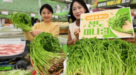 “봄향기 가득 안고 미나리가 왔어요”