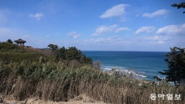 철길 열리니 울진(蔚珍)이 ‘성큼’[여행스케치]