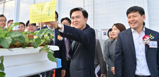 충남, 스마트팜으로 4계절 내내 딸기 생산한다