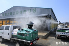 “이번주가 최대 고비”…전남 자치단체 구제역 차단에 총력