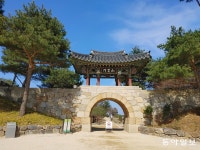 화재 참화 20년 낙산사의 봄…아직도 상처는 남아