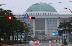 헌재 결정 무시하는 국회…‘위헌 법률’ 29건 방치