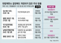 헌재 결정에도 꿈쩍않는 국회… ‘위헌 법률’ 29건 안 고치고 방치