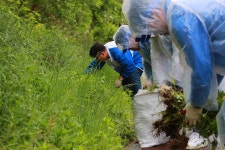 [온라인 라운지]동아오츠카, 안양천 생태계교란 식물 제거 활동