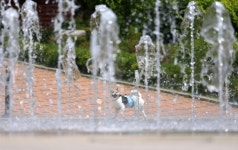 내일 낮기온 최고 30도… 여름이 문턱을 넘었다