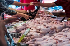 브라질산 닭고기 수입금지에…닭강정 가격 1만→1만2000원