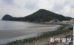 파도 침식 막으려 시행한 사업 덕분에 넓은 백사장 생긴 부산 다대포…“올 7월 해수욕장 개장”
