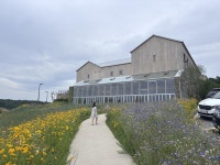 “보랏빛 라벤더 정원부터 수제 소시지까지”… 아이와 함께한 상하농원에서의 하루