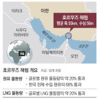 호르무즈해협 봉쇄땐 원유수입 70% 막혀… 한국경제 타격 우려