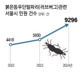 수도권 아파트-공원 점령한 러브버그… “입-코로 들어와 산책 포기”